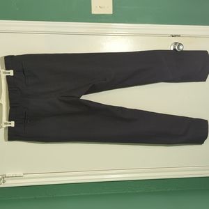 Banana Republic Dress Pants